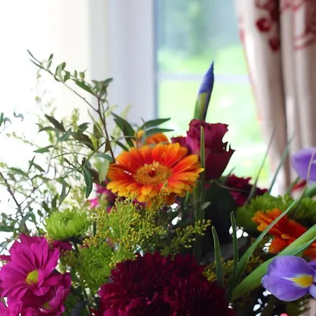 Ryelands B&B Bed & Breakfast 4*